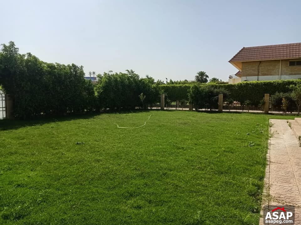 Villa for Rent in Rabwa - Sheikh Zayed