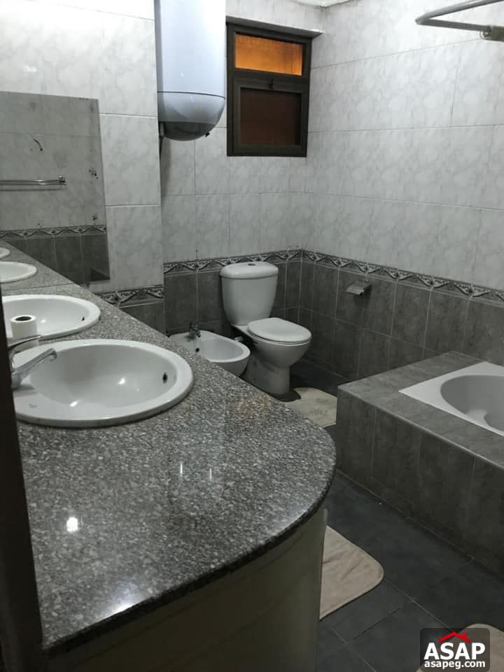 Apartment for Rent in Zamalek Apartment for Rent in Zamalek