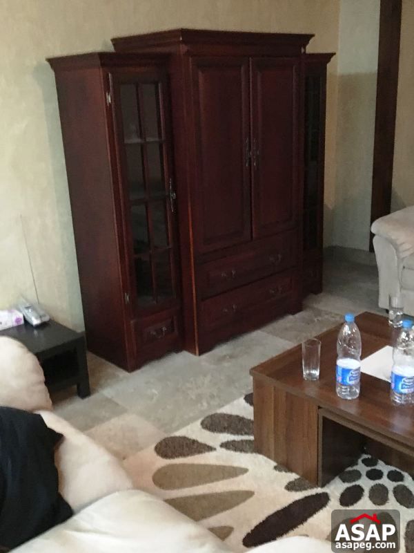 Duplex with Big Garden in Lake View for Rent Duplex with Big Garden in Lake View for Rent