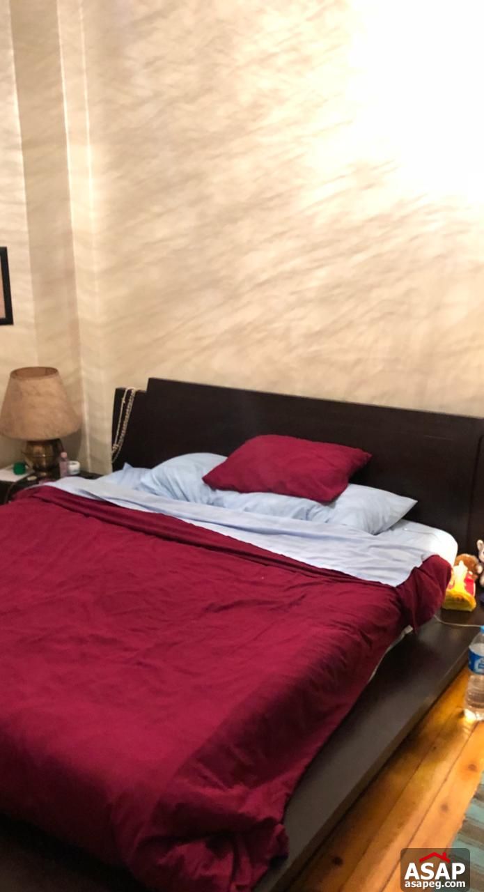 Furnished Apartment for Rent in Zamalek