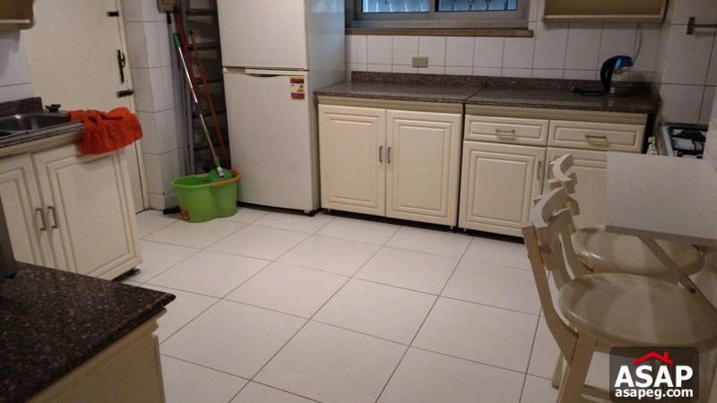 Furnished Apartment with Terrace in Zamalek for Rent Furnished Apartment with Terrace in Zamalek for Rent