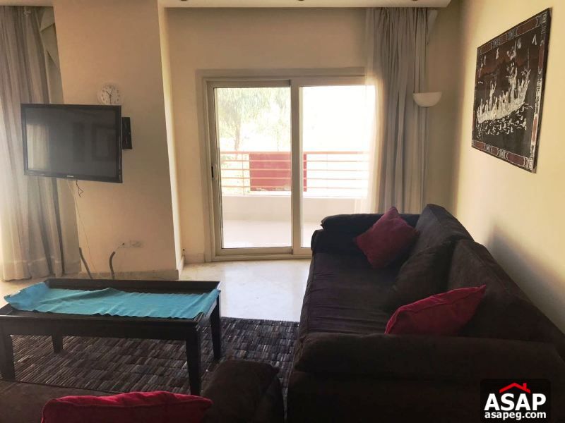 Furnished Studio for Rent in Choueifat - New Cairo Furnished Studio for Rent in Choueifat - New Cairo