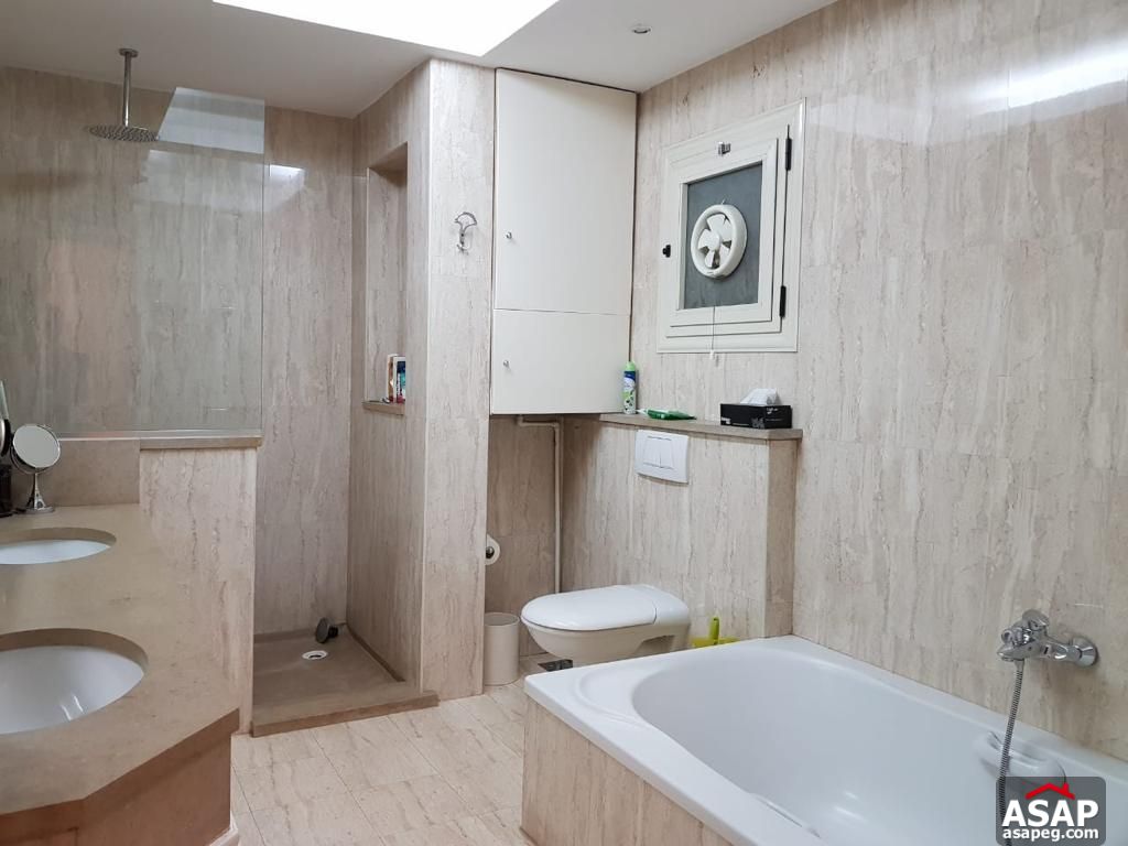 Apartment for Rent in Zamalek Apartment for Rent in Zamalek