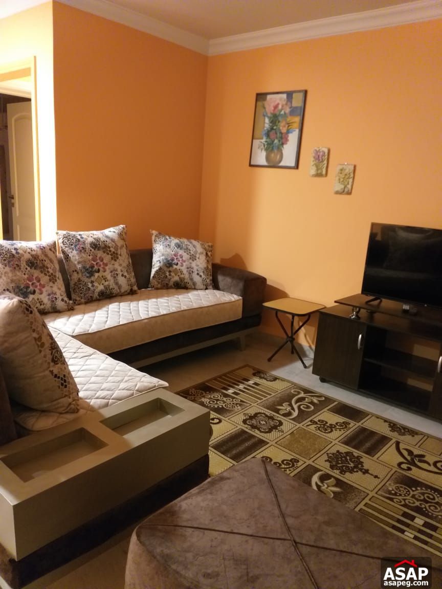 Furnished Apartment for Rent in New Cairo