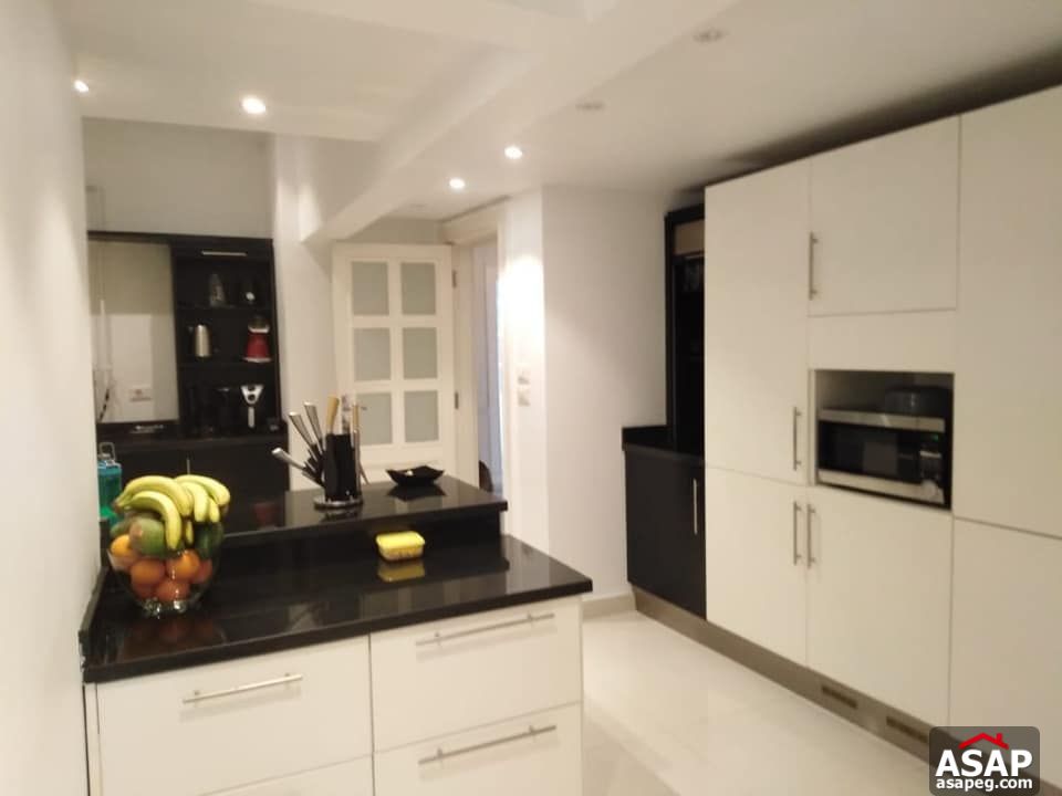 Furnished Apartment in Zamalek Furnished Apartment in Zamalek