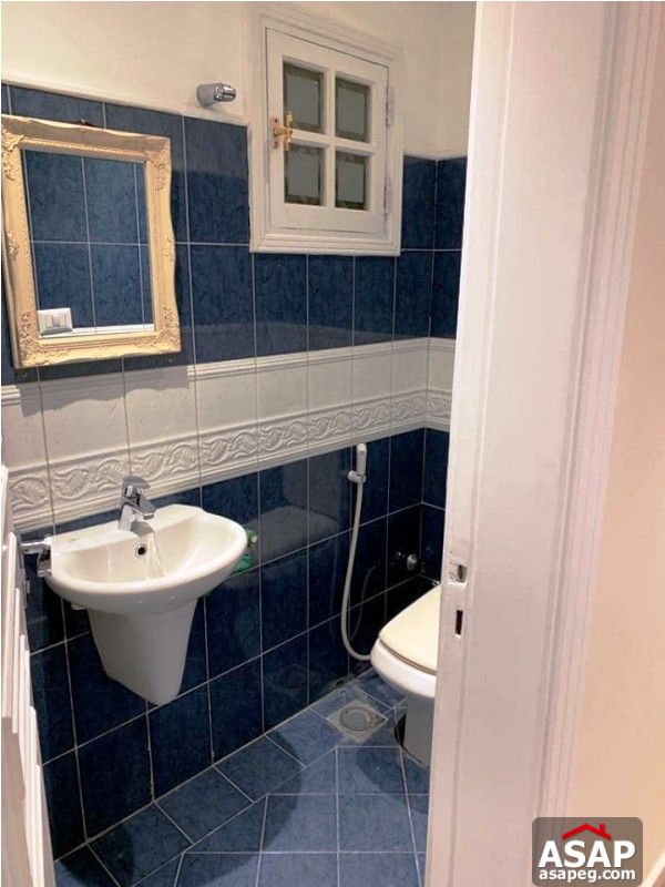 Apartment with Nile View in Zamalek for Rent