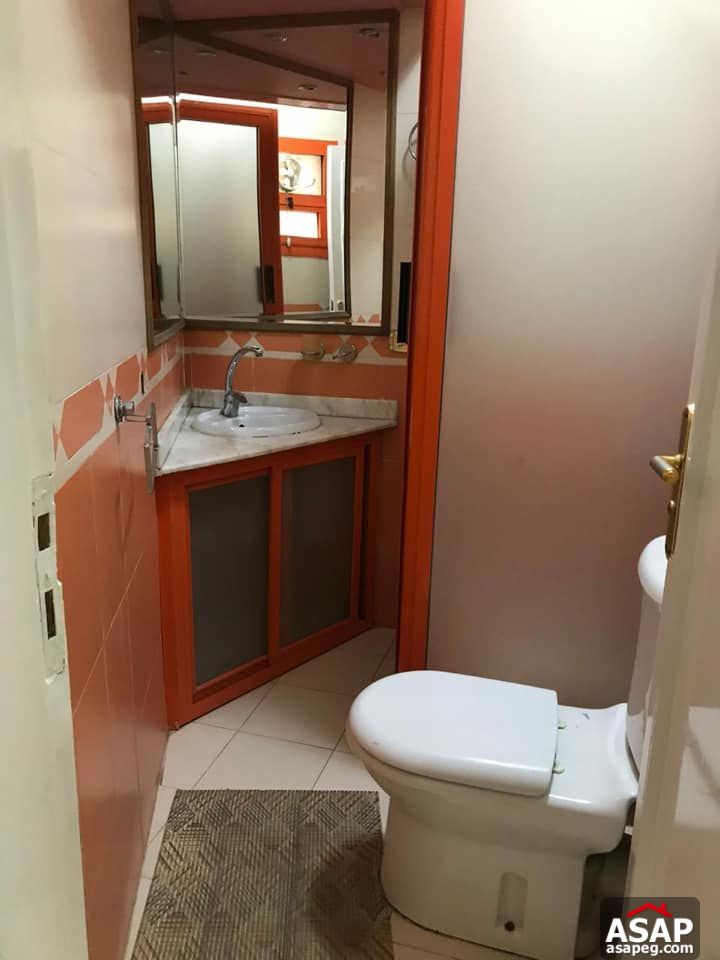 Duplex for Rent in Zamalek