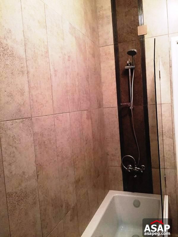 Apartment for Rent in Zamalek Apartment for Rent in Zamalek