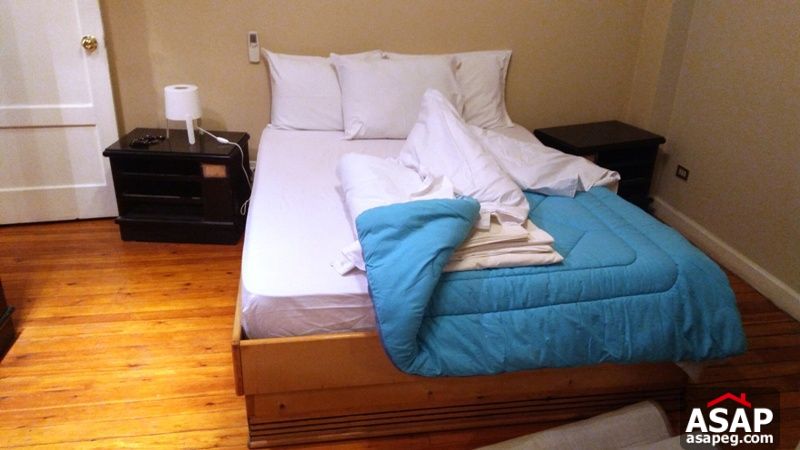 Modern Furnished Apartment for Rent in Mohandiseen Modern Furnished Apartment for Rent in Mohandiseen