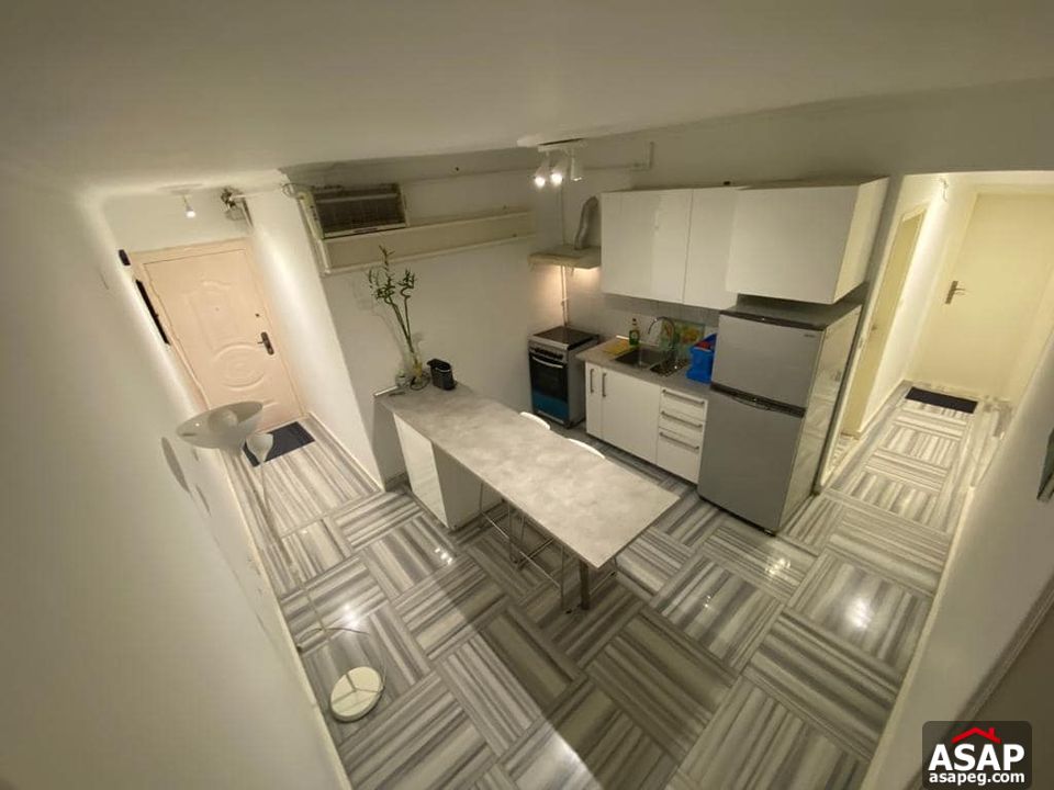 Furnished Apartment for Rent in Zamalek