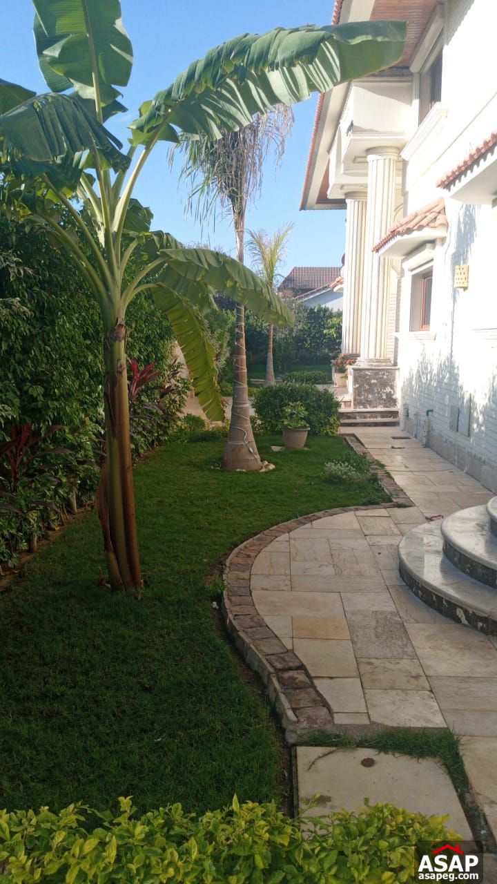 Villa with Swimming Pool for Rent in El Rabwa Compound