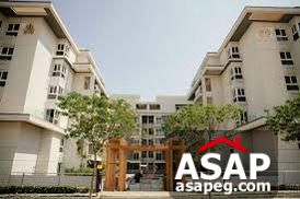 Apartment for Sale in Mountain View I City Apartment for Sale in Mountain View I City