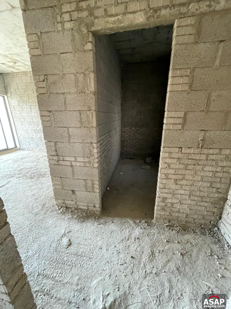 Penthouse with Pool for Sale in Lake View Residence Penthouse with Pool for Sale in Lake View Residence