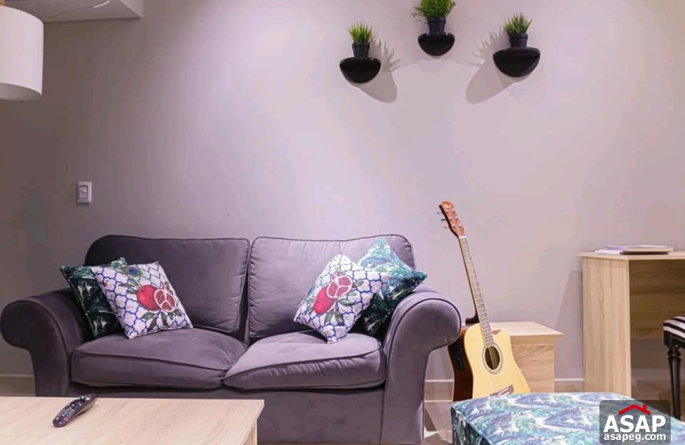 Furnished Flat for Rent in Zamalek Furnished Flat for Rent in Zamalek