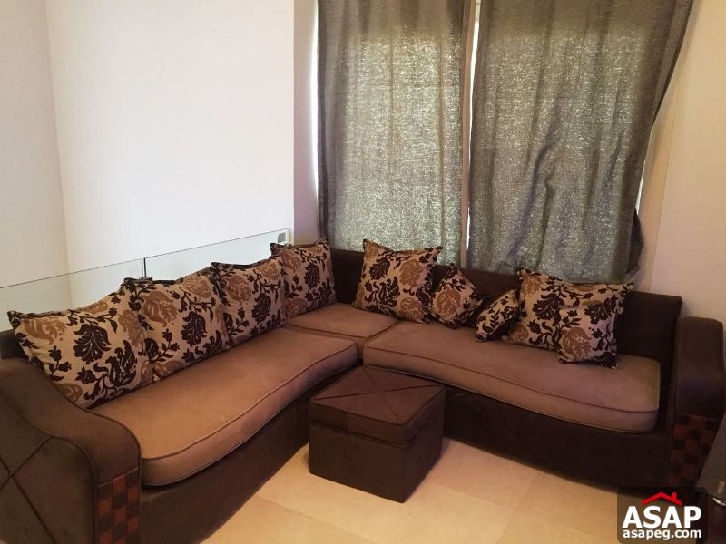 Furnished Penthouse for Rent in the Village Furnished Penthouse for Rent in the Village