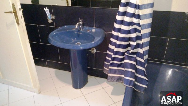 Apartment for rent in zamalek Apartment for rent in zamalek