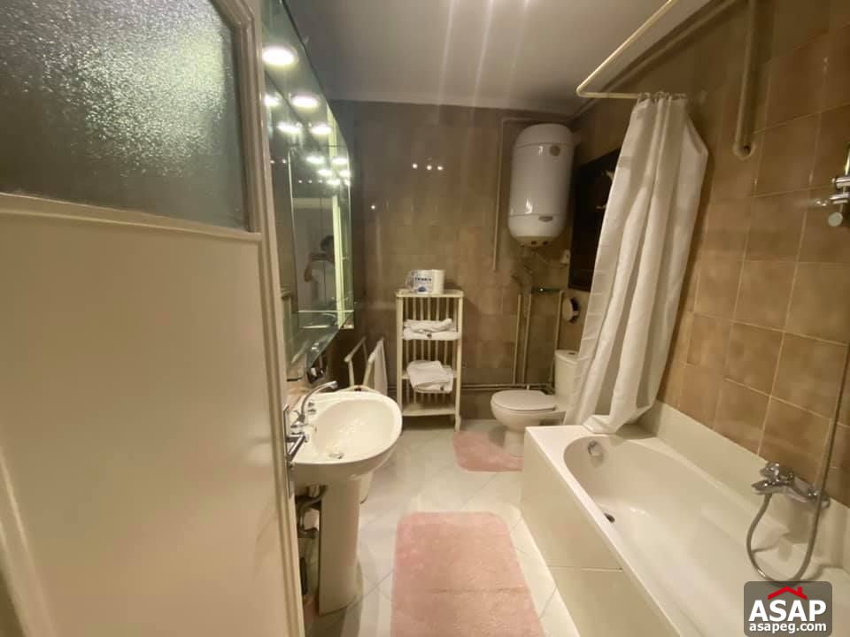 Furnished Flat for Rent in Zamalek Furnished Flat for Rent in Zamalek