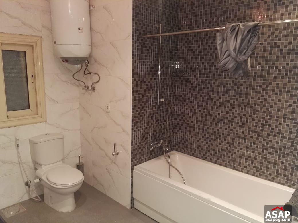 Apartment for Rent in Zamalek Apartment for Rent in Zamalek