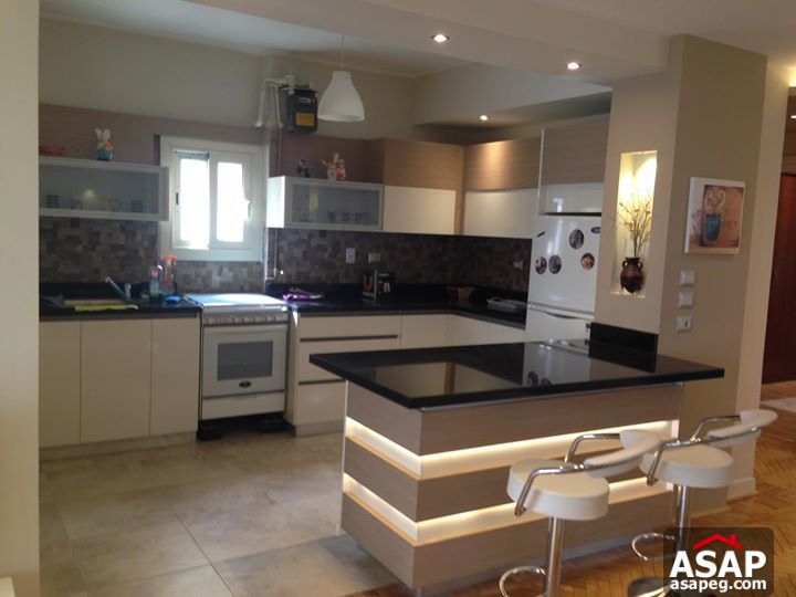 Apartment with Nile View for Rent in Zamalek Apartment with Nile View for Rent in Zamalek