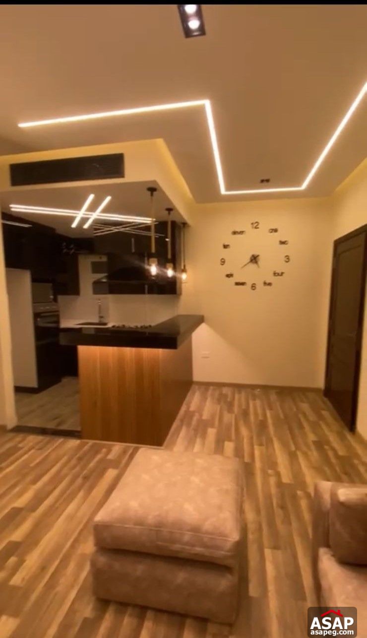 Furnished Apartment for Rent in Hyde Park Furnished Apartment for Rent in Hyde Park