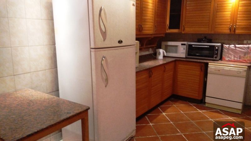 Furnished Apartment for Rent in Zamalek Furnished Apartment for Rent in Zamalek