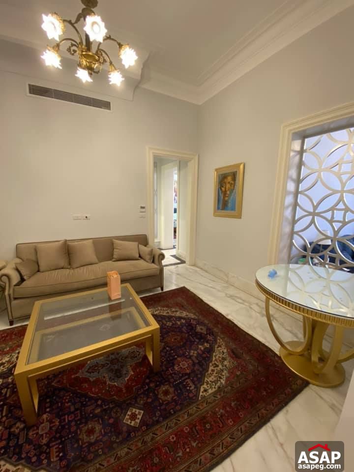 Apartment for Rent in Zamalek Apartment for Rent in Zamalek