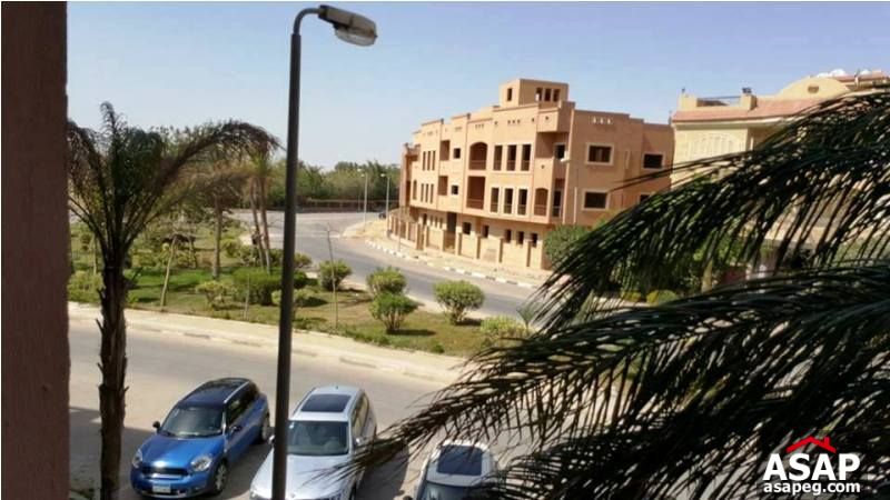 Apartment for Rent in New Cairo Apartment for Rent in New Cairo