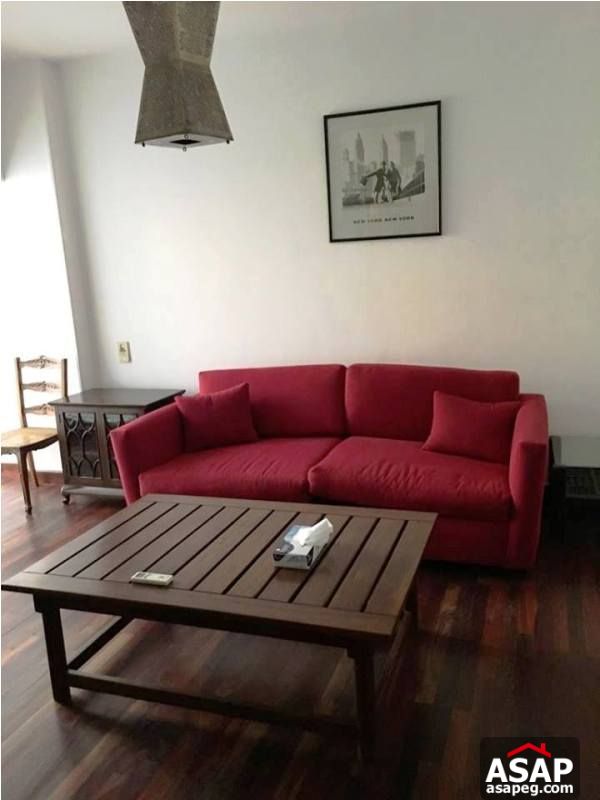 Modern Apartment in Zamalek for Rent