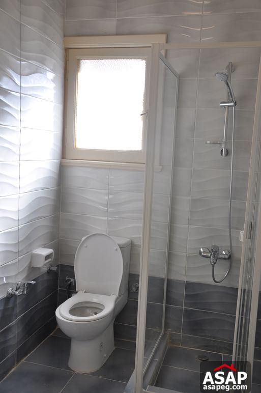 Apartment for Rent in Dokki Apartment for Rent in Dokki