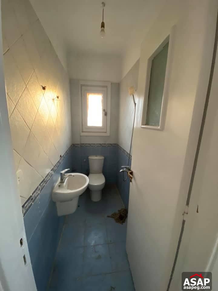 Apartment for Rent in Zamalek Apartment for Rent in Zamalek