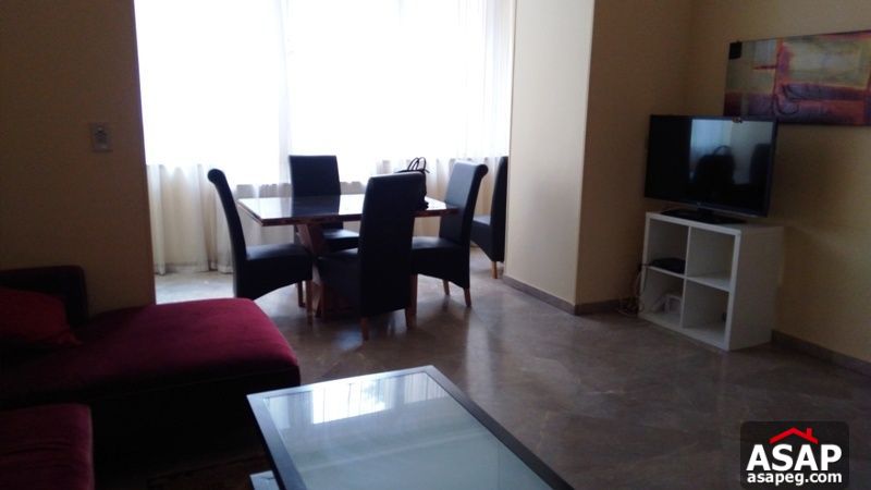 Furnished Apartment with Terrace in Zamalek for Rent Furnished Apartment with Terrace in Zamalek for Rent