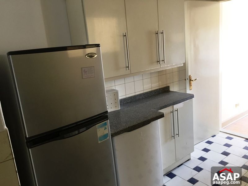 Apartment for Rent in Zamalek Apartment for Rent in Zamalek