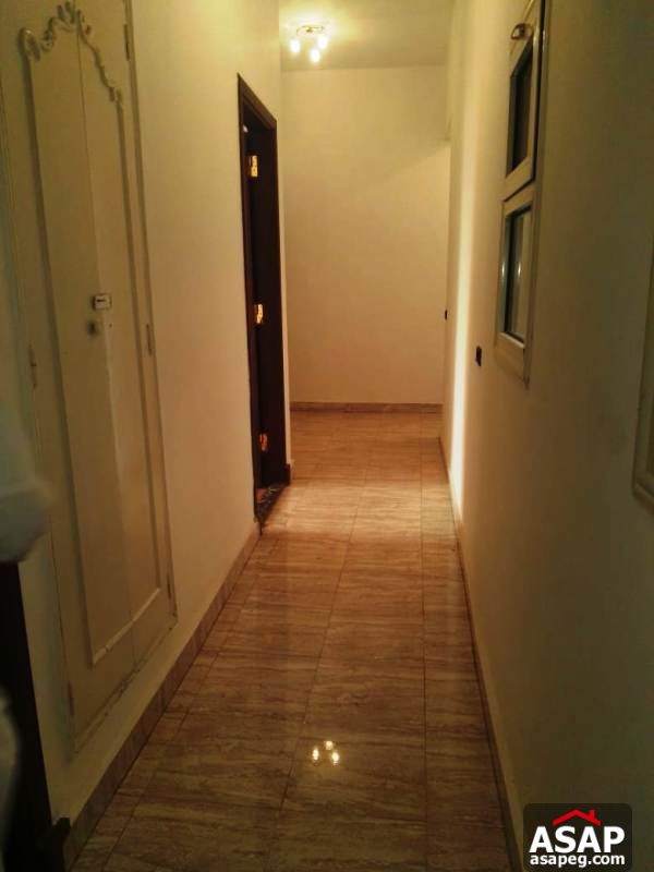 Apartment with Big Roof for Rent in Zamalek Apartment with Big Roof for Rent in Zamalek