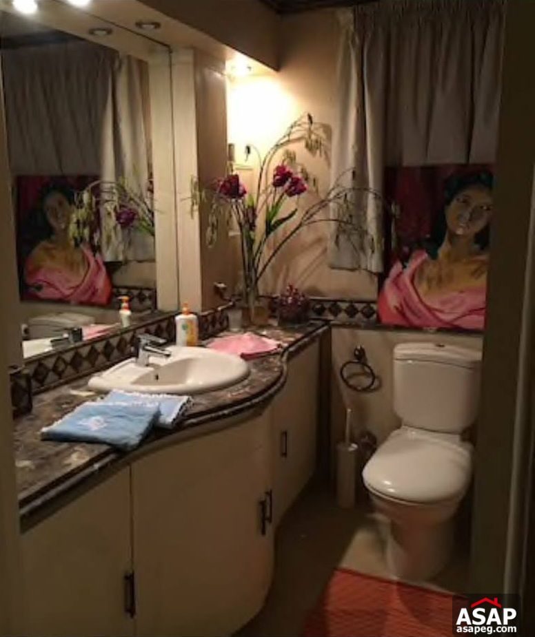 Apartment with Nile View for Rent in Zamalek Apartment with Nile View for Rent in Zamalek