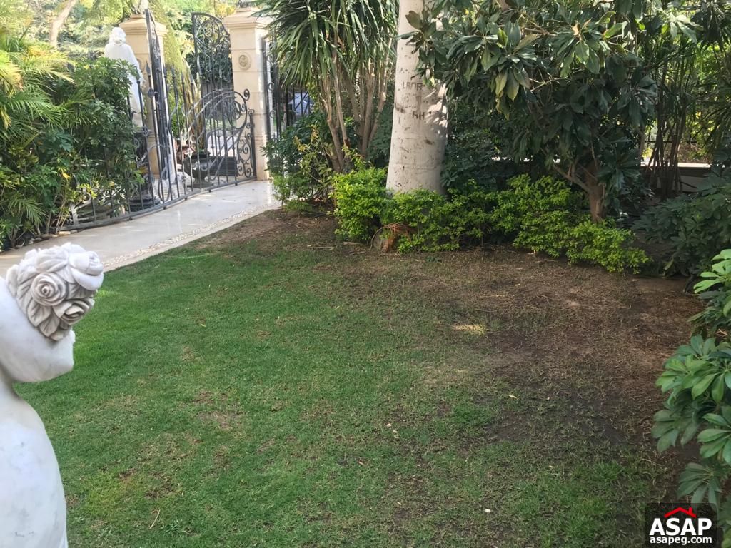 Ground Floor for Rent in Katameya Heights