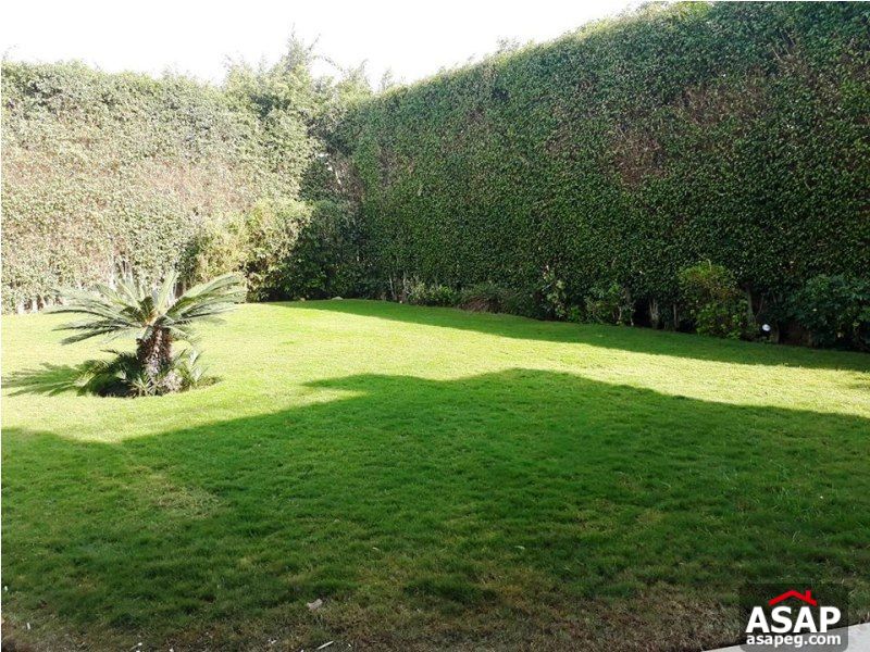 Villa for Rent in Katameya Heights