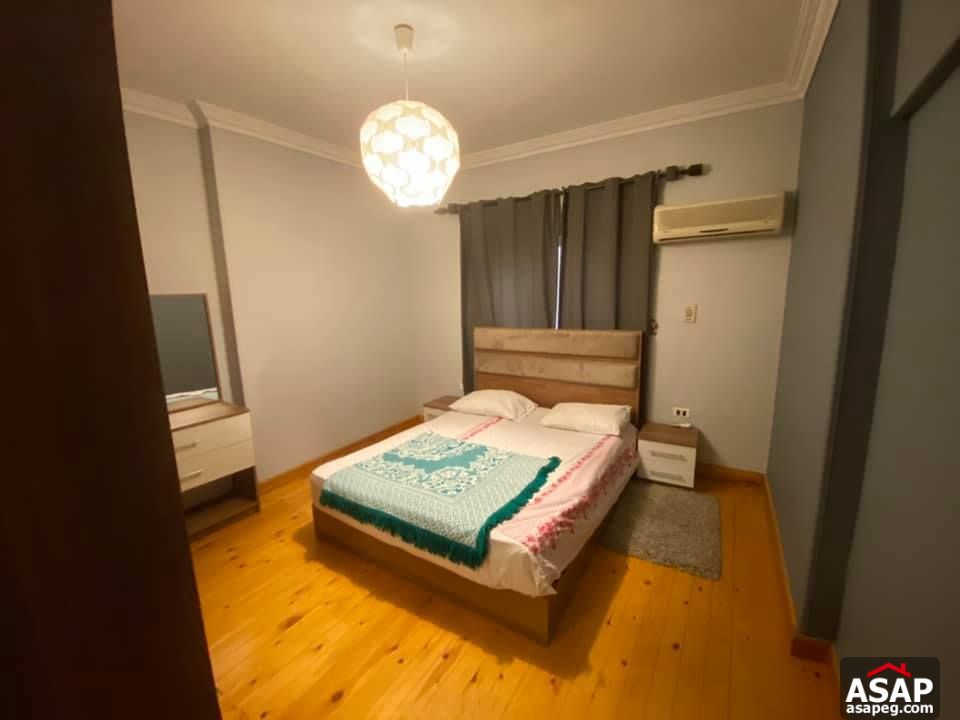 Apartment for Rent in Zamalek Apartment for Rent in Zamalek