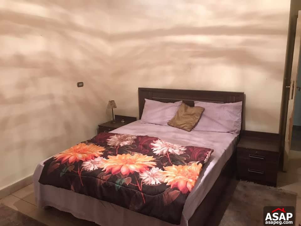 Apartment for Rent in Zamalek Apartment for Rent in Zamalek