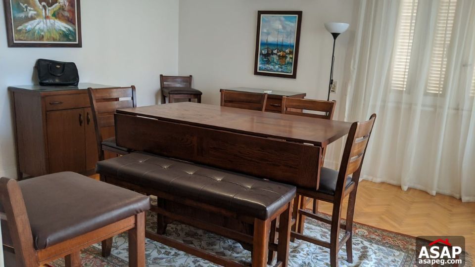 Penthouse for Rent in Zamalek Penthouse for Rent in Zamalek