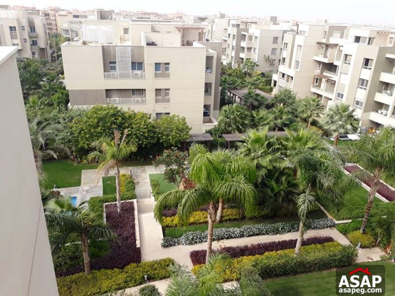 Penthouse for Rent in Park View Penthouse for Rent in Park View