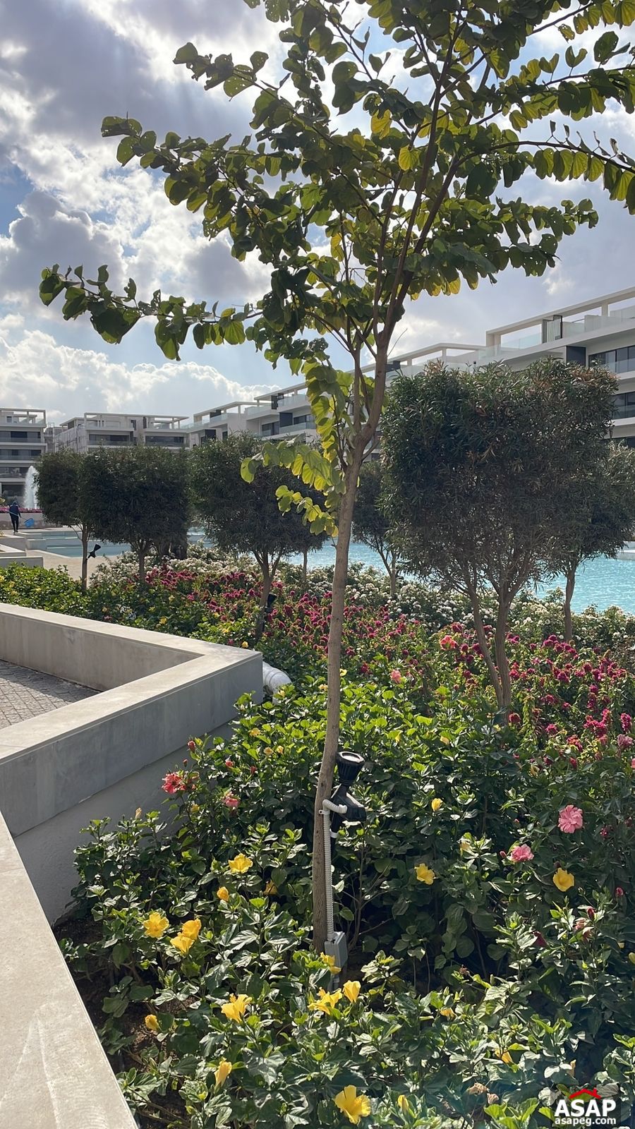 Furnished Apartment for Rent in Lake View Residence Furnished Apartment for Rent in Lake View Residence