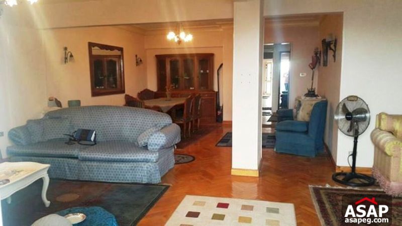 Apartment for Rent in Zamalek Apartment for Rent in Zamalek