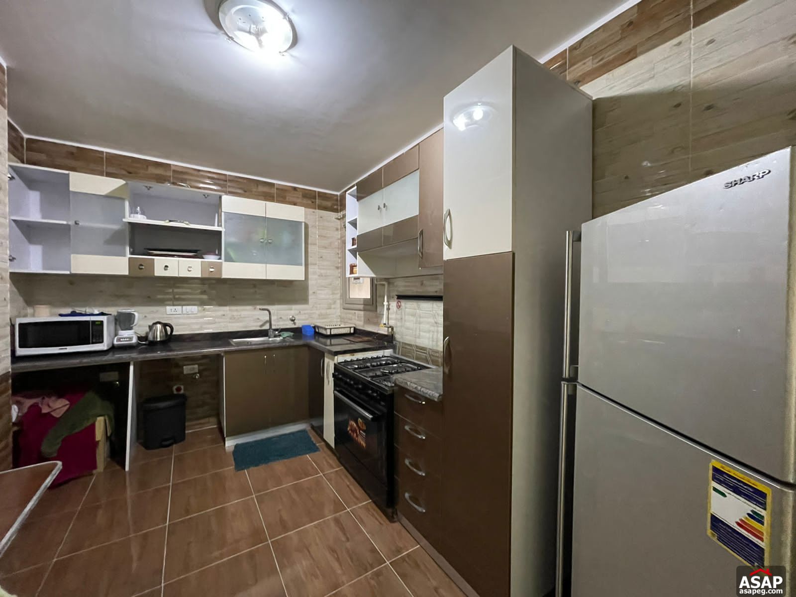 Fully Furnished Flat in Galleria Moon Valley