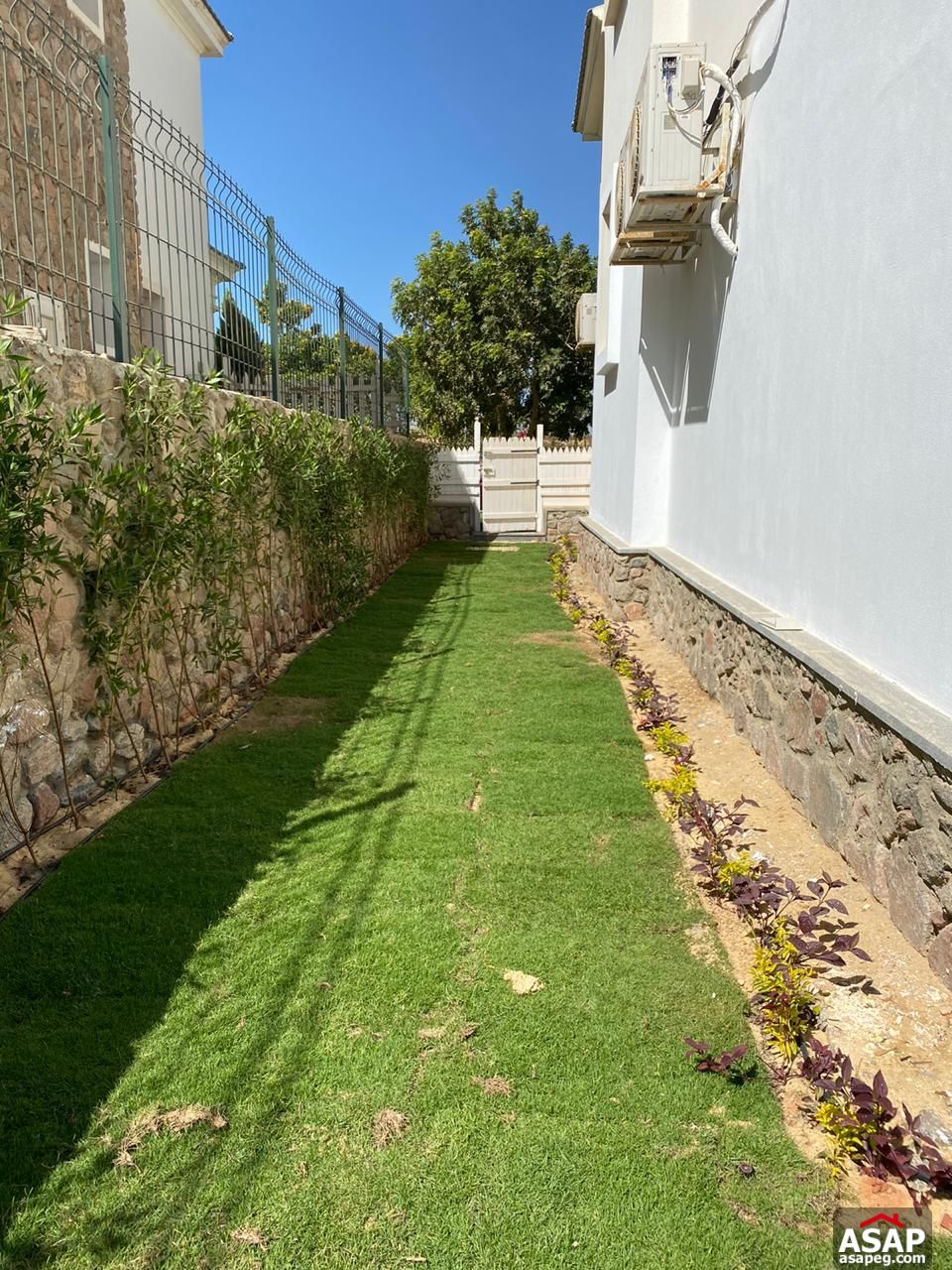 Standalone for Rent in Mountain View 2