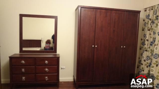 Furnished Apartment for Rent in Zamalek Furnished Apartment for Rent in Zamalek