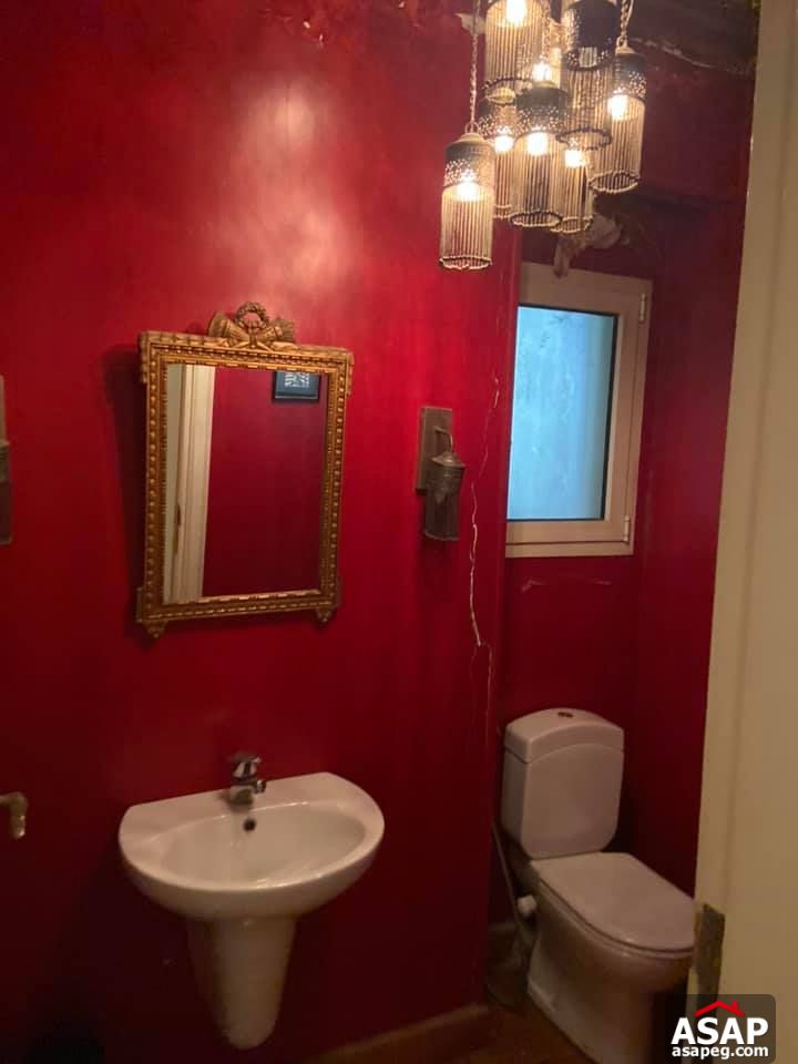 Apartment for Rent in Zamalek Apartment for Rent in Zamalek