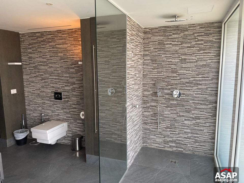 Amazing Apartment for Rent in Zamalek Amazing Apartment for Rent in Zamalek