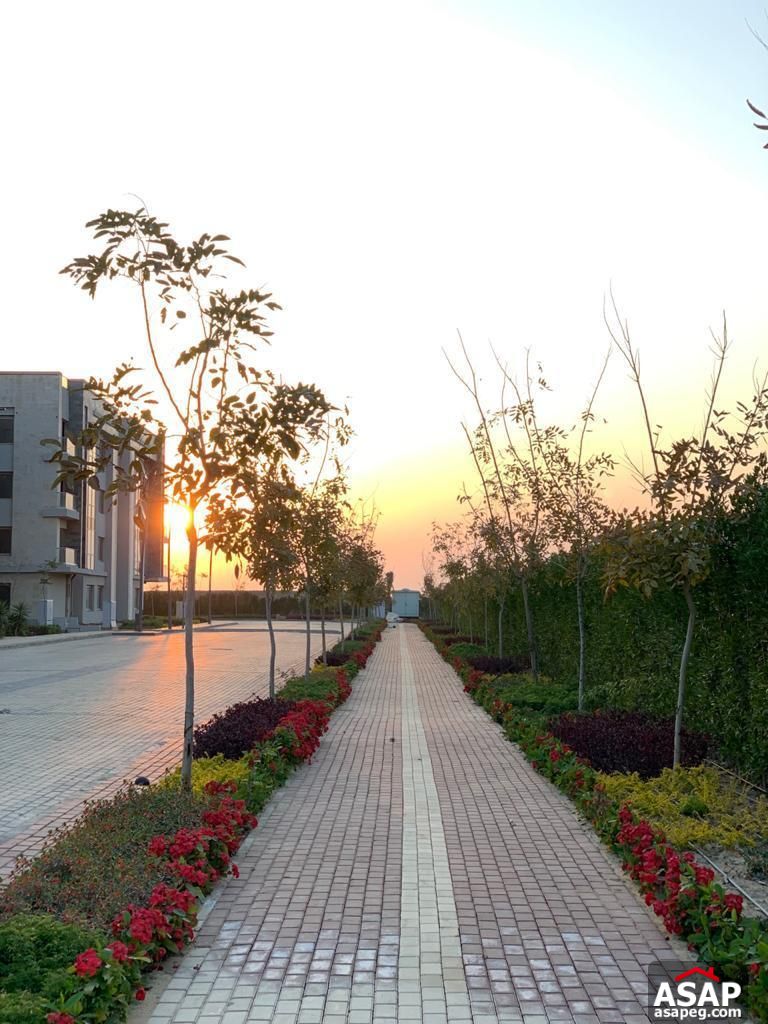 Finished Apartment for Sale in Galleria Moon Valley Finished Apartment for Sale in Galleria Moon Valley