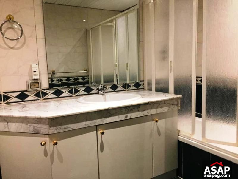 Flat for Rent in Zamalek Flat for Rent in Zamalek