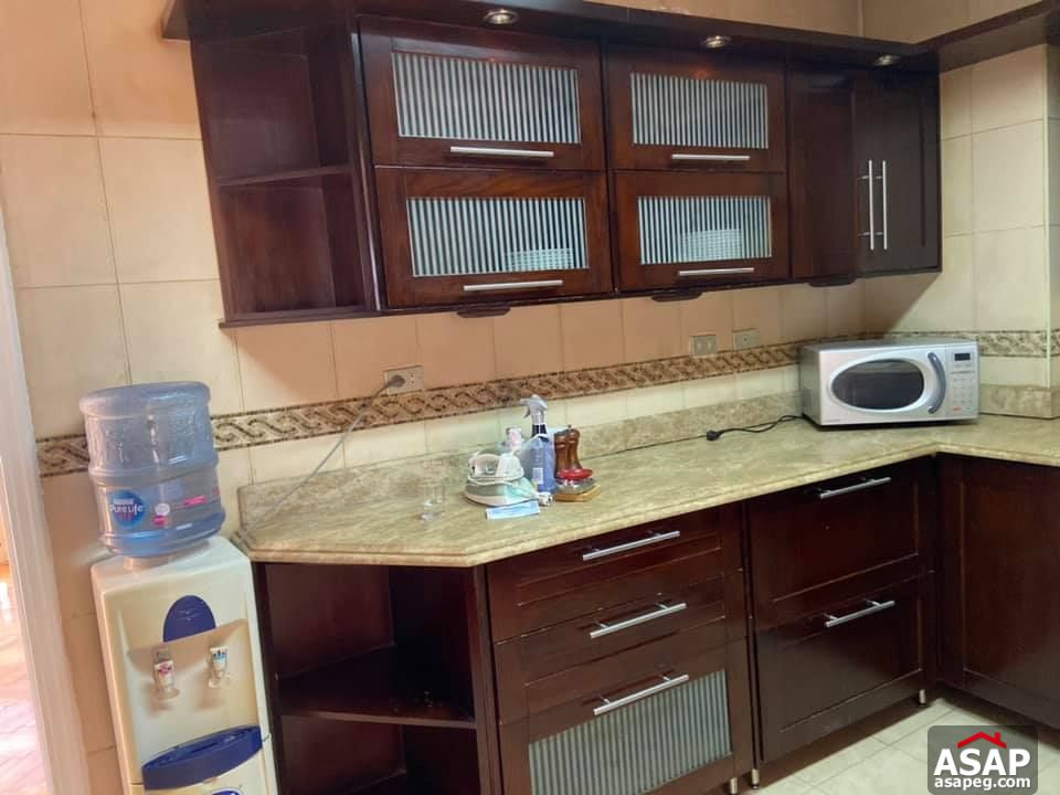 Apartment for Rent in Zamalek Apartment for Rent in Zamalek